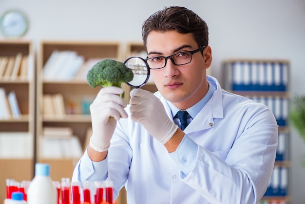 Foto scienziato che lavora su frutta e verdura biologica
