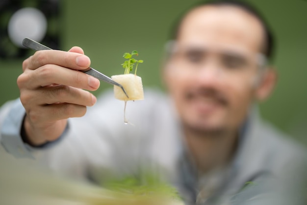 生物学科学研究所の温室で農業の緑の植物の研究に取り組んでいる科学者、医療食品バイオテクノロジーの有機実験テスト、農業の成長における植物学の生物学者