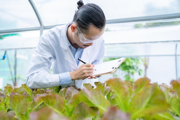 Scientist working to research in agriculture green plant at biology science laboratory greenhouse, organic experiment test for medical food biotechnology, botany ecology biologist in farming growth