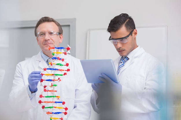 Scientists examining dna helix 