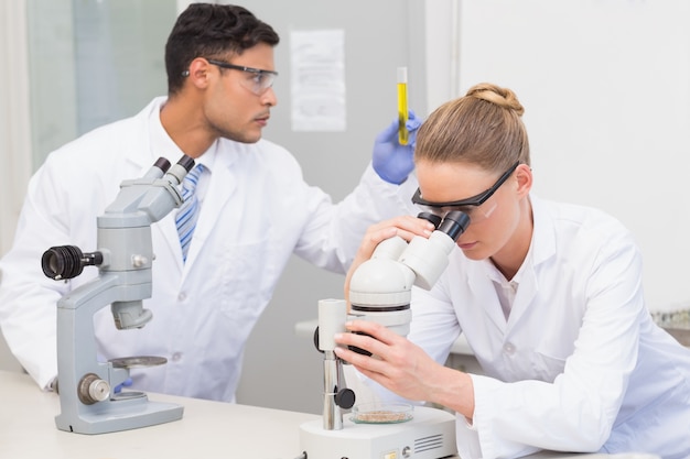 Scientists using microscope 