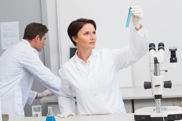 Scientists working attentively with test tube and computer