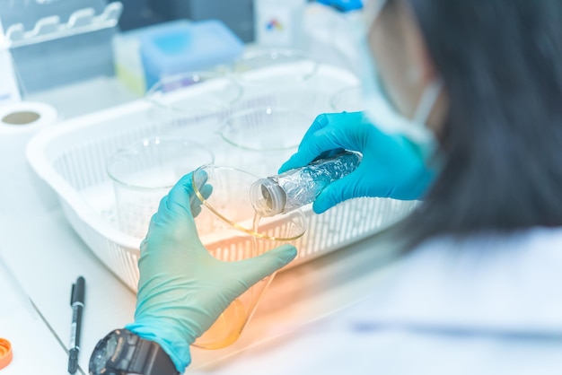 Scientists working in the laboratoryDoing an experiment