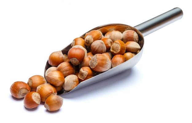 Scoop full of hazelnuts on white table