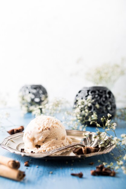 Scoop of homemade ice cream with cinnamon