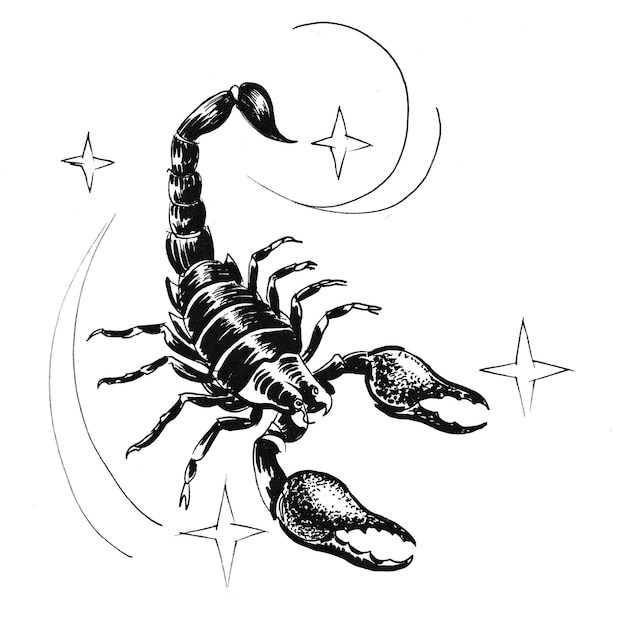 Scorpion sign. Ink black and white drawing