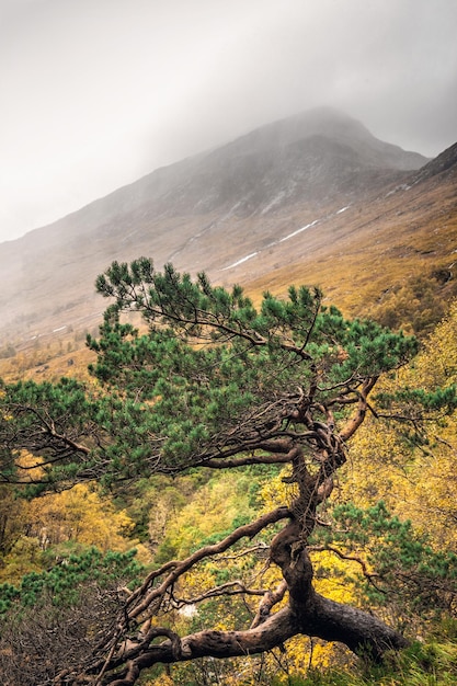 Scotland autumn