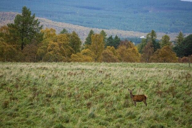 Scotland rainy day