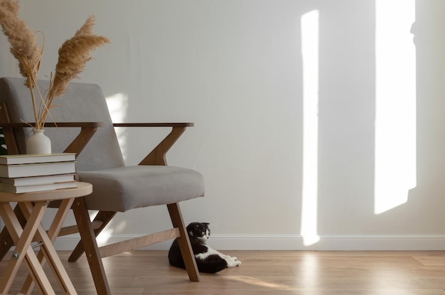 사진 스코틀랜드 고양이는 거실 내부의 회색 의자 옆 바닥에 누워 있습니다. 가벼운 미니멀리즘 스칸디나비아 인테리어 복사 공간