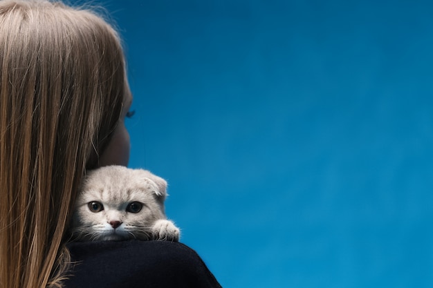 Scottish fold cat sitting on the shoulder of the mistress