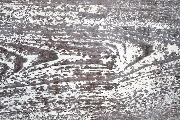 Foto fondo strutturato di legno bianco d'annata graffiato