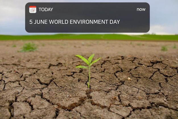 A screen with the date of june world environment day.