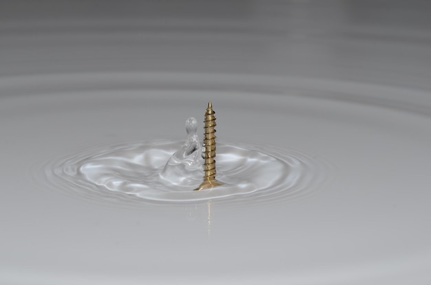 Screw and water drops