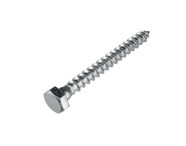 Screws isolated on whited background. Self Tapping metal screws Close-up.