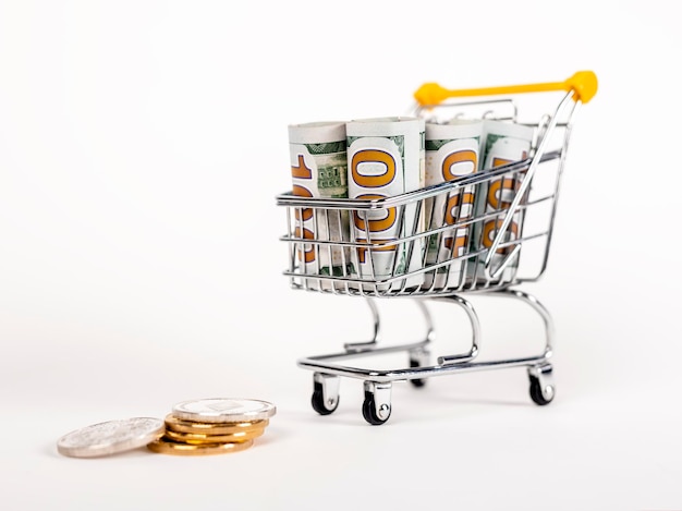 Scrolled dollar bills in trolley and coins Income and money spent by shopping Household consumption costs