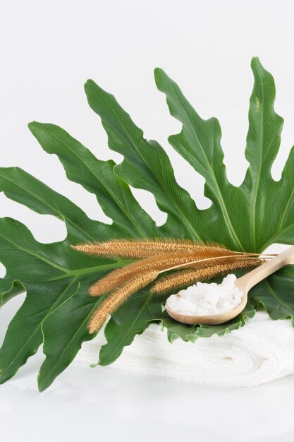 Scrub salt in wooden spoon on clean white towels, green leaves and dried grass on white scenes for hygiene.