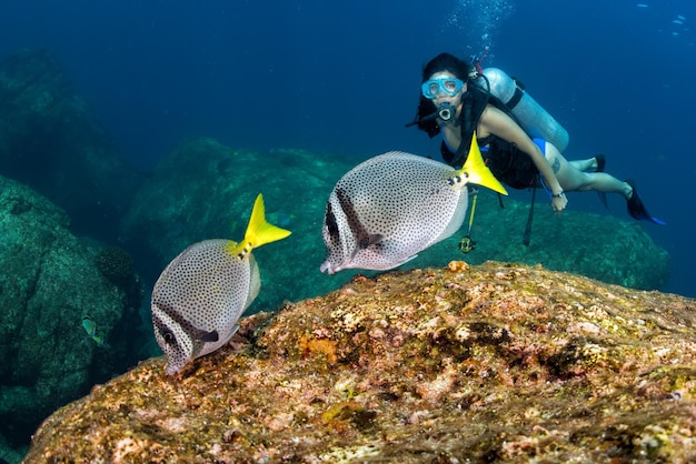 魚とサンゴ礁の背景のスキューバ ダイバー