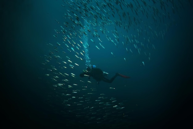 scuba diver and school of fish, fish tornado, underwater view ecosystem man under water