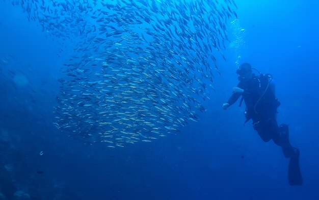 スキューバダイバーと魚の学校、魚の竜巻、水中ビュー生態系の男水中