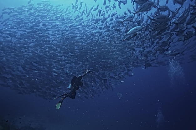 scuba diver and school of fish, fish tornado, underwater view ecosystem man under water