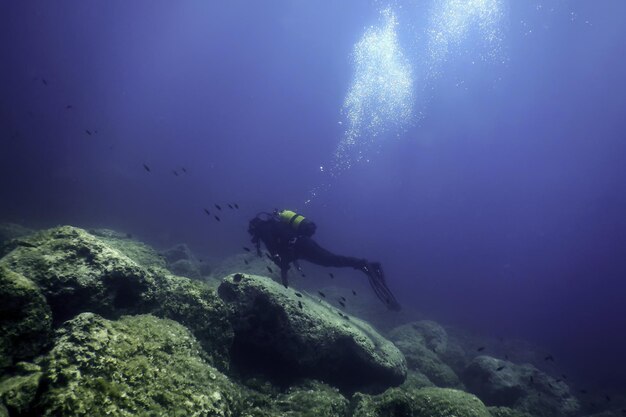 Водолаз на морском дне