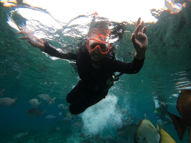 写真 海でスキューバダイビング