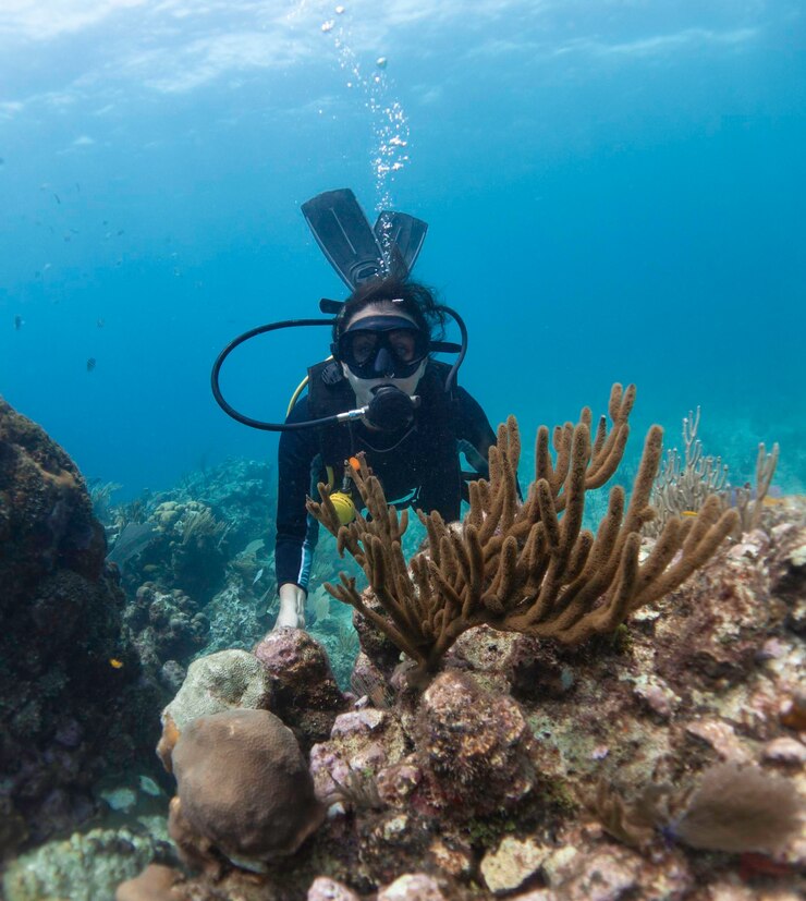 Photo scuba diving in sea