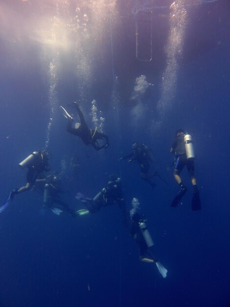 Photo scuba diving in sea