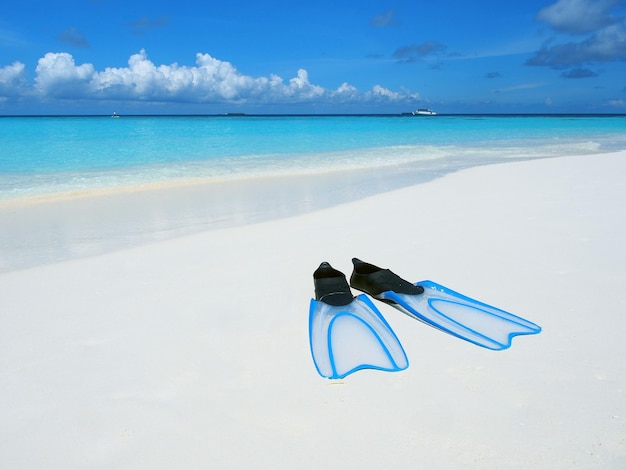 Scuba fin on the white sand beach with turquoise sea in background for summer season