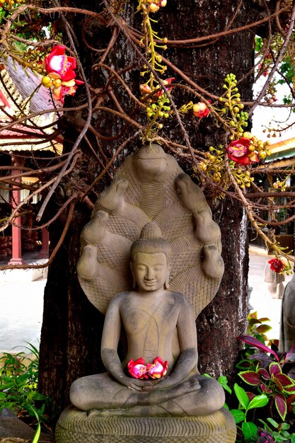 Foto scultura della statua di buddha nel tempio