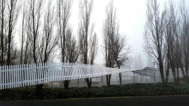 Photo sculpture in form of folded fence in park