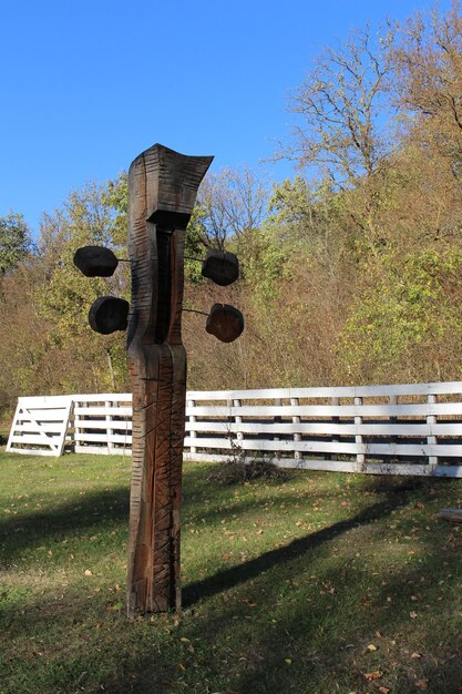 Photo a sculpture in a grassy area