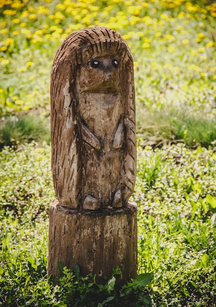 Photo sculpture of a hedgehog carved from wood