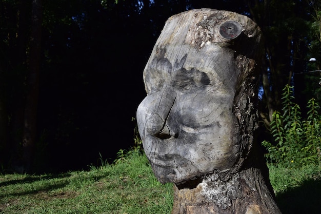 Sculpture of a human head carved from wood Puerto Varas Chile