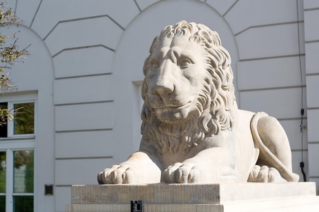 ポーランドのワルシャワの王宮近くのライオンの彫刻