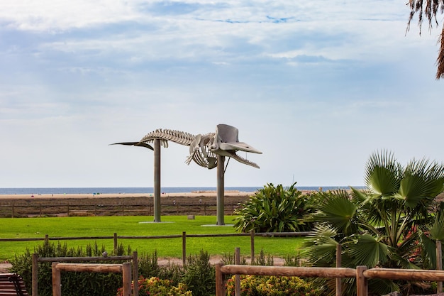 Sculpture of a whale in the beach park