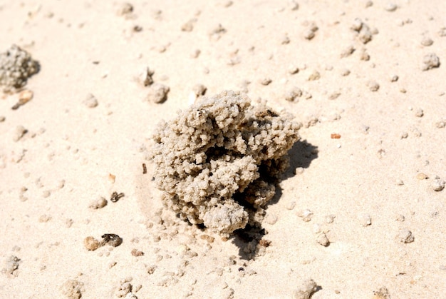 Foto sculpturen uit zand tegen een helling van een zanderige berg