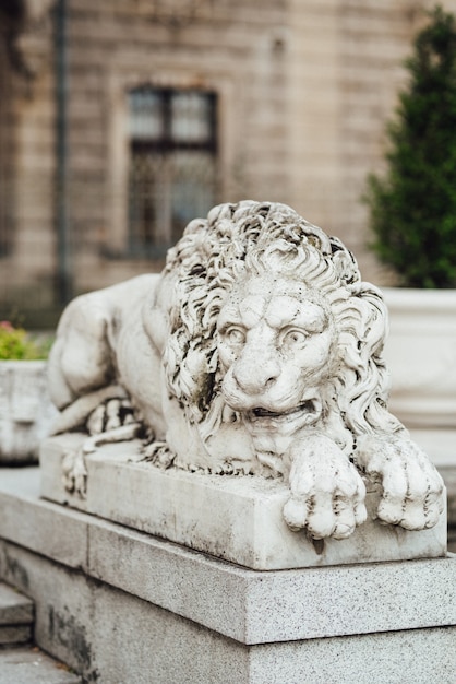 Sculptuur van een leeuw in een liggende positie gemaakt van steen bij de ingang van het Poolse kasteel