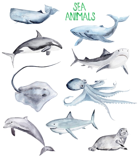 Sea animals watercolor set