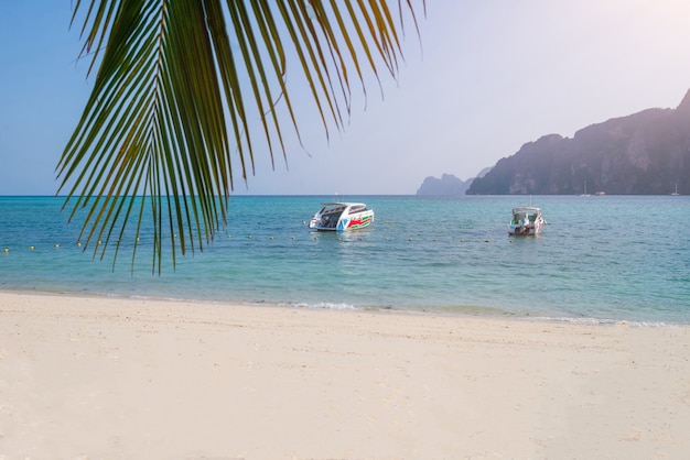 Foto atmosfera da spiaggia di mare sull'isola di phi phi, provincia di krabi, acqua molto limpida, mare bellissimo, spiaggia di sabbia bianca, piccoli turisti tra covid-19 ci sono molti taxi boat parcheggiati. senza turisti,