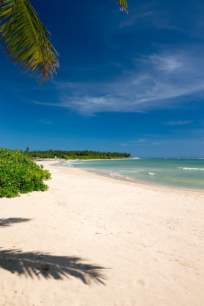 Sea and beach background with copy space