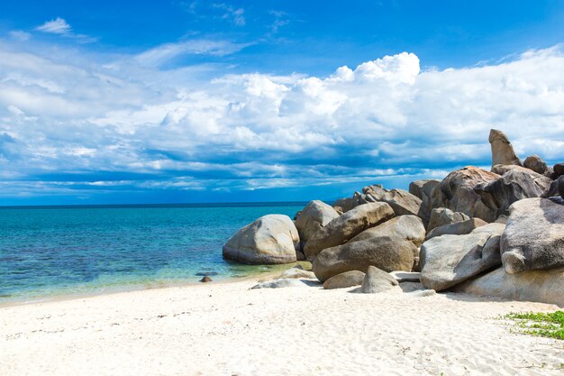 Sea of beach caribbean sea