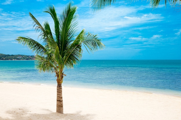 Foto mare di spiaggia mar dei caraibi