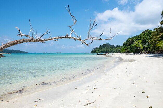 Sea beach colorful white sand smooth silvan