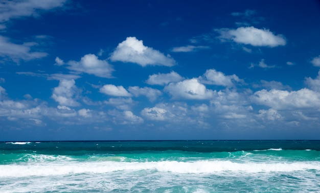 Sea beach landscape