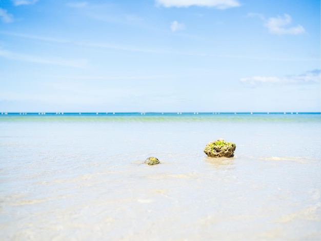 Море на пляже Песок Летний фон Берег с голубым небом Сезон белых облаков Тропический красивый океан