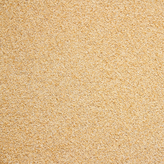 Sea beach sand texture background