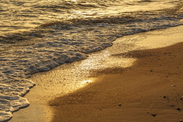 Sea beach in sunshine day in twilight time