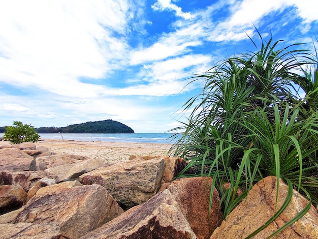 Sea beach view on the summer season