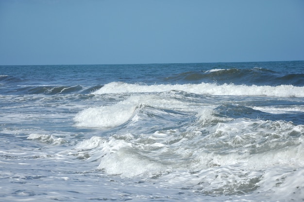 海、ビーチ、ウォータートリップ、夏